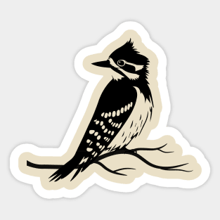 Woodpecker Sticker